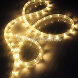 110V Super Bright Warm White LED Rope Lights for Garden