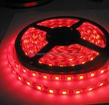 5050 Red SMD LED Flexible Strip Light