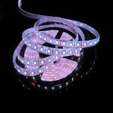 IP65 3528 LED Strip-120LEDs/M LED Strip Lights (SS-108) 