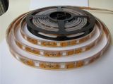 LED Strip 24V LED Strip Light LED Light