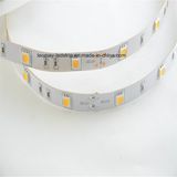 2-Year-Lifespan SMD5050-30 LED Strip Light with CE RoHS