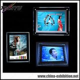 Super Slim LED Crystal Light Box for Window Ceiling Display