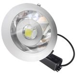 LED Down Light for Villa Lights