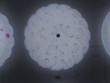 SMD5730 Surface Mounted LED Ceiling Light