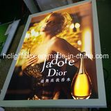 Acrylic Panel and LGP Advertising LED Light Box