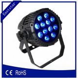 Professional 12PCS*10W IP65 LED Stage Lighting PAR Light