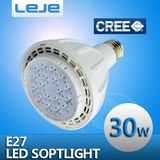 LED Spotlight 30W PAR30