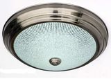 Stailess Steel Ring and Pattern Glass LED Ceiling Light