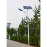 5m 30W LED Solar Garden Light