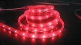 High Voltage LED Strip Light