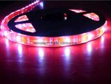 LED Strip Light, LED Flexible Light, Ribbon Light (NCL-DD- 002-060-012)