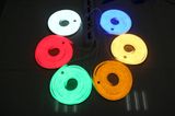 AC230V/AC120V/DC12V/24V IP65 LED Neon Flex Strip Light