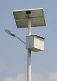 Competitive. Solar LED Street Light