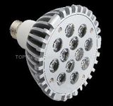 LED Spotlight (TP-S01-012W04)