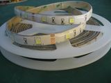 IP65 Waterproof 5050 SMD LED Strip Light (FG-LS30S5050EW)