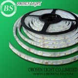 LED Ribbon Strip Light