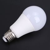 LED Bulb Light