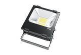 Outdoor LED Flood Light Fl100W-310pah-a