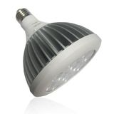 15W PAR38 LED Spotlight (YC-PAR38)