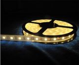 LED Strip Light/ LED Rope Light