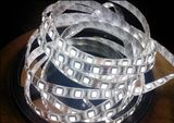 5m 5050 White DC12V 300 SMD LED Flexible Strip Light Non Water Proof (ECO-F5050W60W-12V)