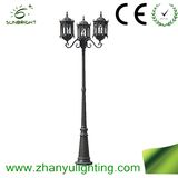 Popular Three Arms 3X20W LED Outdoor Street Light