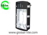 (TL-5101) Induction Tunnel Light