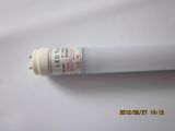 LED Tube T10 8w