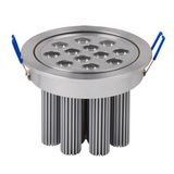 Ceiling Light LED 12W High Power