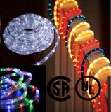 LED Rope Lights