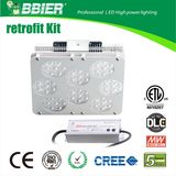 Super Bright LED Garden Light with ETL (BBSDD-100W)