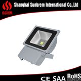 LED Light/LED Lamp/LED Flood Light/100W LED Light