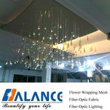 Fiber Optic Chandelier of Hotel Room