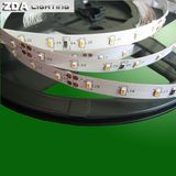 6000k Cool White SMD 3014 LED Strip Light