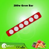 Indoor Agricultual Garden High Power LED Grow Light Manufacturer