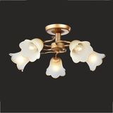 Home Ceiling Lamp Decorative Chandelier (GX-8095-5)