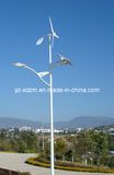 Solar Wind Hybrid LED Lamps Street Light