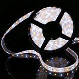 Color Temperature Adjustable 5050 LED Strip Light