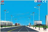 Wbr019 30W Single Lamp Solar LED Street Light