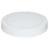 21W Round LED Ceiling Light with Surface Mounted