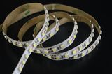 3528 Warm White Flexible LED Tape Light