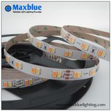 112LEDs/M DC24V SMD5630 Bicolor LED Strip Light