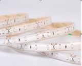 LED Strip Light (OML-DC12V-004-a)