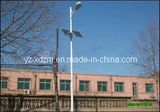 6m 30W LED Solar Street Light for Public Lighting