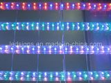 30cm LED SMD Strip Light (LS-RF4R)