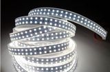 SMD LED Strip Light SMD3528 240LED/M IP67