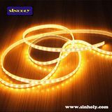 Dual Color LED Strip Light