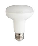 LED Spotlight R95 12W 1100lm E27 AC175~265V