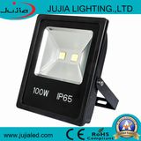 Outdoor LED Flood Light 100W