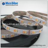 DC24V 5630 LED Dual White LED Strip Light